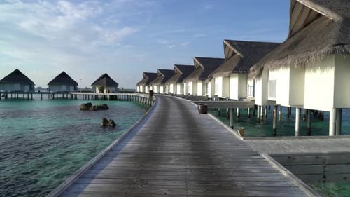 tropical beach and sea in Maldives
