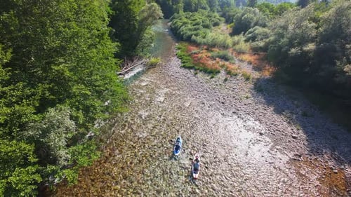 Two Men Navigate Paddleboards Through a Shallow Crystalclear River Surrounded By Lush Green Forest