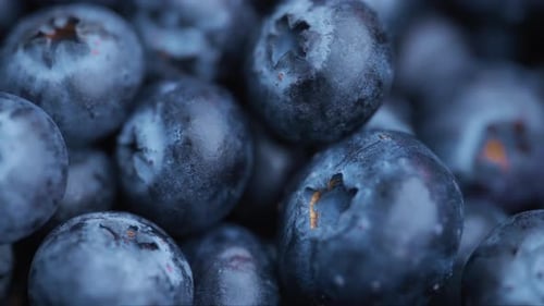 Macro shot of fresh blueberries