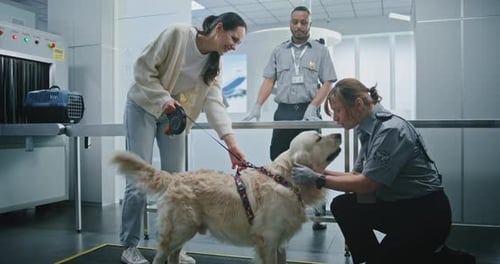 Airport Terminal Female Security Officer Inspecting Dog Dog Licking Her Face