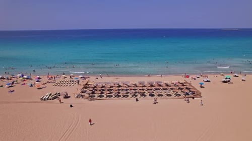 Sunny beach day with umbrellas and people enjoying the water