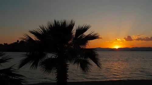 Palm Tree Bay gegen die Wellen bei Einbruch der Dunkelheit