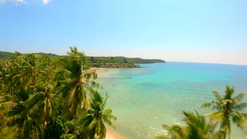 Drone Flying Over Coconut Palm Trees and White Sand Beach with Turquoise Water