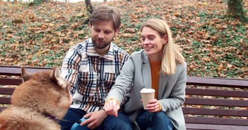 Young Couple Pets Dog in the Park