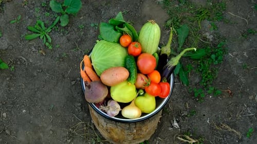 A Bowl of Vegetables in the Garden Selective Focus
