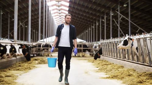 Dairy Farm Cattle Operations