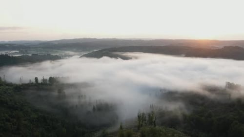Misty Sunrise Over Verdant Hills and Forests