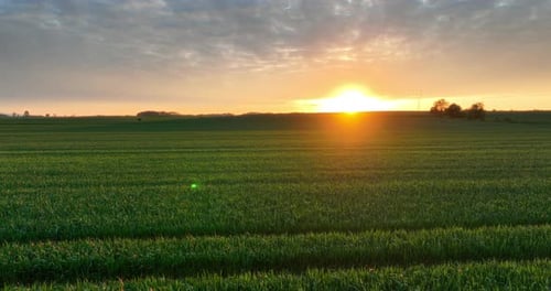 Breathtaking View of the Setting Sun