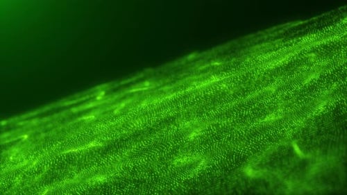 Green particle