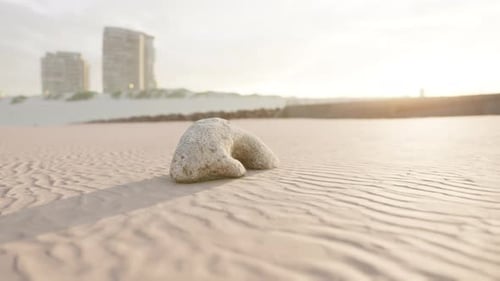 Old White Coral on Sand Beach