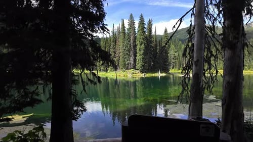 Calm Lake Surrounded by Trees on a Sunny Day with Reflections in the Water and Blue Sky