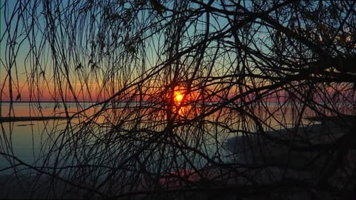 Die Sonne schaut bei rotem und gelbem Sonnenuntergang durch die hängenden Äste
