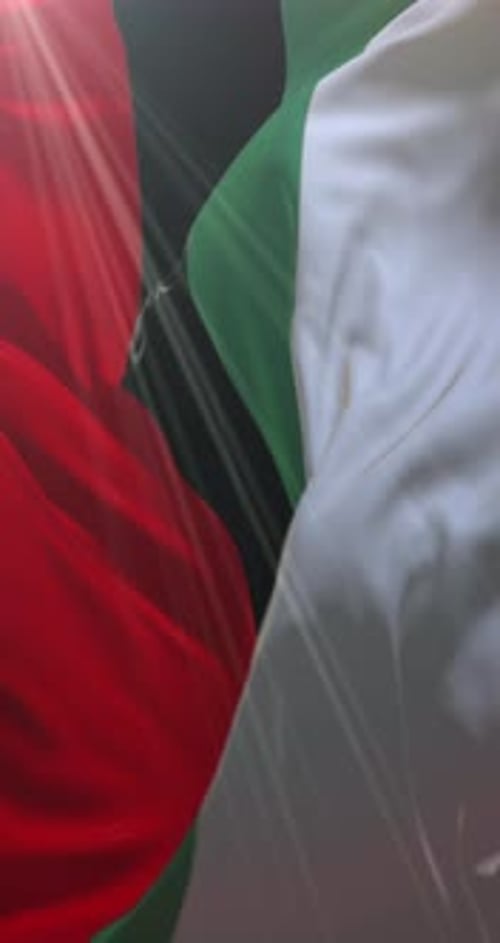 Waving Vertical Flag with Sunlight Rays Animation