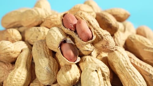 Pile of Fresh Peanuts in Shells on Blue