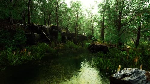 Forest Spring Landscape with Overgrown Pond