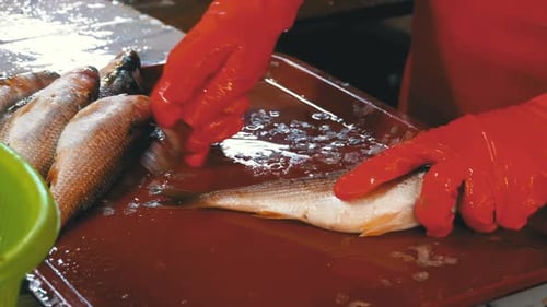 Woman Cleans and Cuts Fresh Fish in Fish Market
