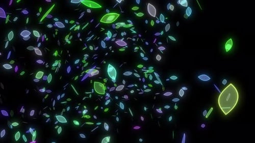 Flower Flaying Over Black Background, Romantic Flower Particle Flying In The Air. Flower Made With