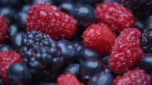 Fresh organic berries covered in water drops
