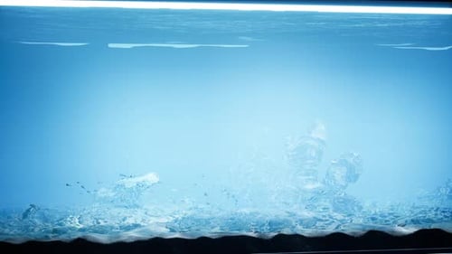 Cube Aquarium