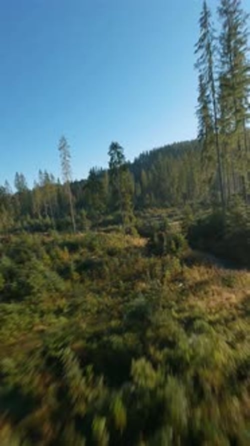 Vertical Video