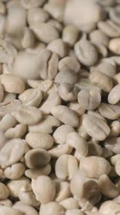 Vertical slow motion of roasted coffee beans falling. Organic coffee seeds.