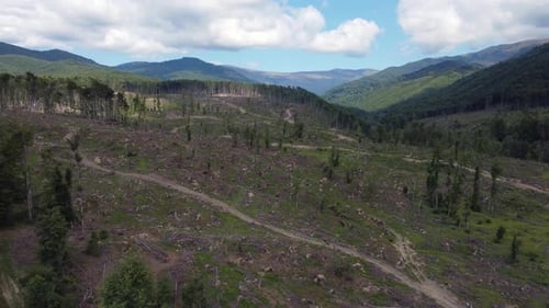 Luftbild: Entwaldung von Bergwäldern in Rumänien, Mitteleuropa - Drohnenflugschuss