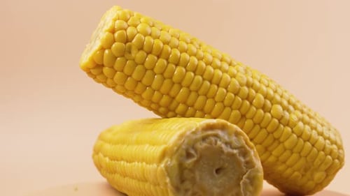Rotating corn cobs stacked and presented in a clean studio setup.