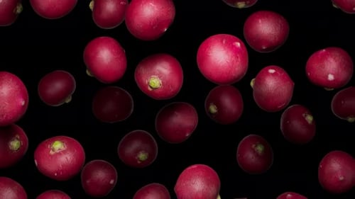 Endlessly Falling Radishes on Alpha