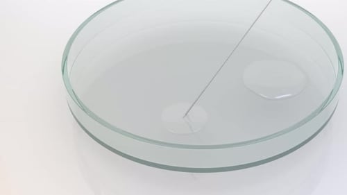 Clear Liquid Drops in a Glass Petri Dish with Pipette