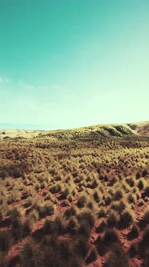 Sparse Grass in Desert Aerial View