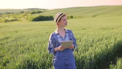 Farmer With Tablet In Field
