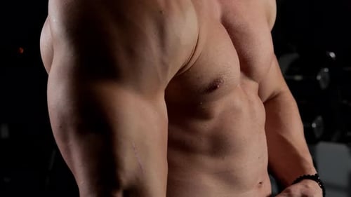 Muscular Adult Shows Biceps and Upper Body Strength