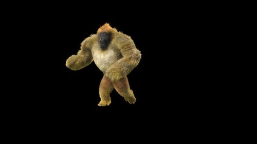 08 Gorilla tanzt HD