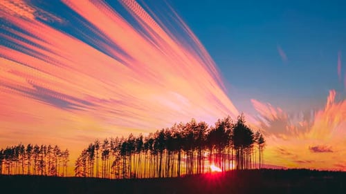 Long Exposure Timelapse Fasters Clouds Above Pine Forest