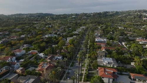 Aerial View of Street Lined with Rows of Tall Palm Trees Luxurious Residencies in Beverly Hills