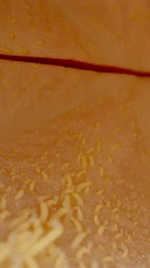Vertical video. Inside a Seedless Papaya. Dolly slider extreme close-up.