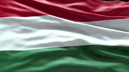 Realistic Waving Hungarian Flag Fabric Loop Animation