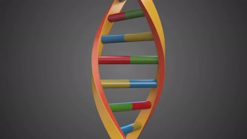 Colorful 3D DNA Double Helix Science Animation