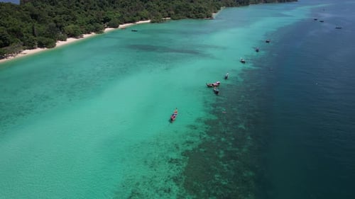 Footage of tourist snorkeling diving and tourism long-tailed boats float on the sea.
