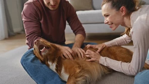Young Family Stroking Dog Lying Carpet at Weekend Close Up Man Caressing Pet