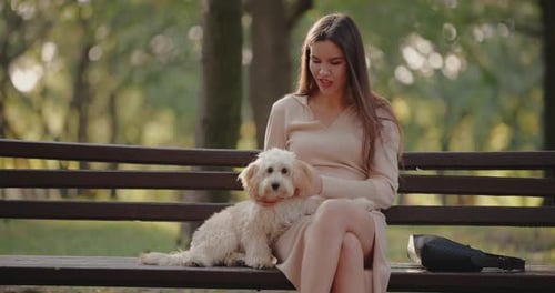 Woman Petting Her Dog Sitting on a Bench in a Park