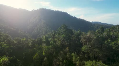 Drone View On the Top of the Mountain With Green Tropical Rainforest