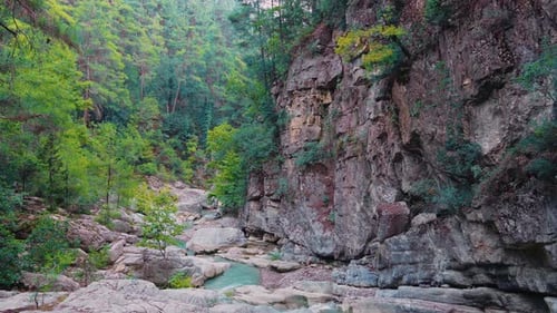 Rocky forest stream with calm water and large stones in peaceful nature scene