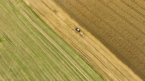 High-angle view of a tractor with a trailer driving away from a wheat field, showing the end of the