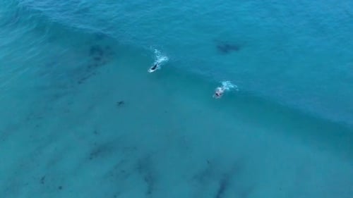 Surfistas expertos sobre enormes olas ondulantes de playa turquesa. Toma aérea
