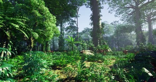 Lush Green Forest with Diverse Vegetation and Vibrant Flora Under Clear Sky