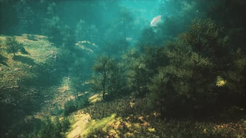 Carpathian Mountains Moody Weather Landscape