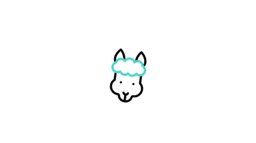 Minimalist Line Art Alpaca Head Drawing Animation