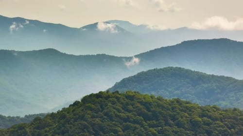 Humid Forest in North Carolina Appalachian Mountains USA American Nature in Summer Rain Season