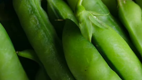 Fresh Green Peas in Close Up a Study of Texture and Color